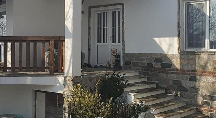 The White House Villa Kamilski Dol Dış mekan fotoğraf